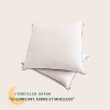 oreiller-60x60-coton-bio-futaine